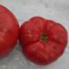 tomate gregory altai