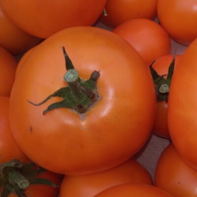 tomate kaki coing