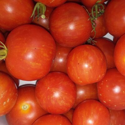 tomate tigerella